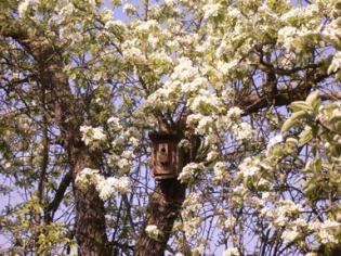 Frühling
